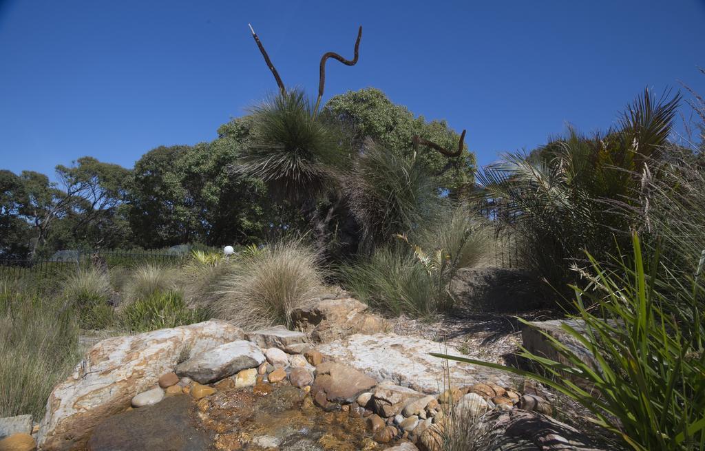 湖滨假日公园 Lake Tyers Beach 外观 照片